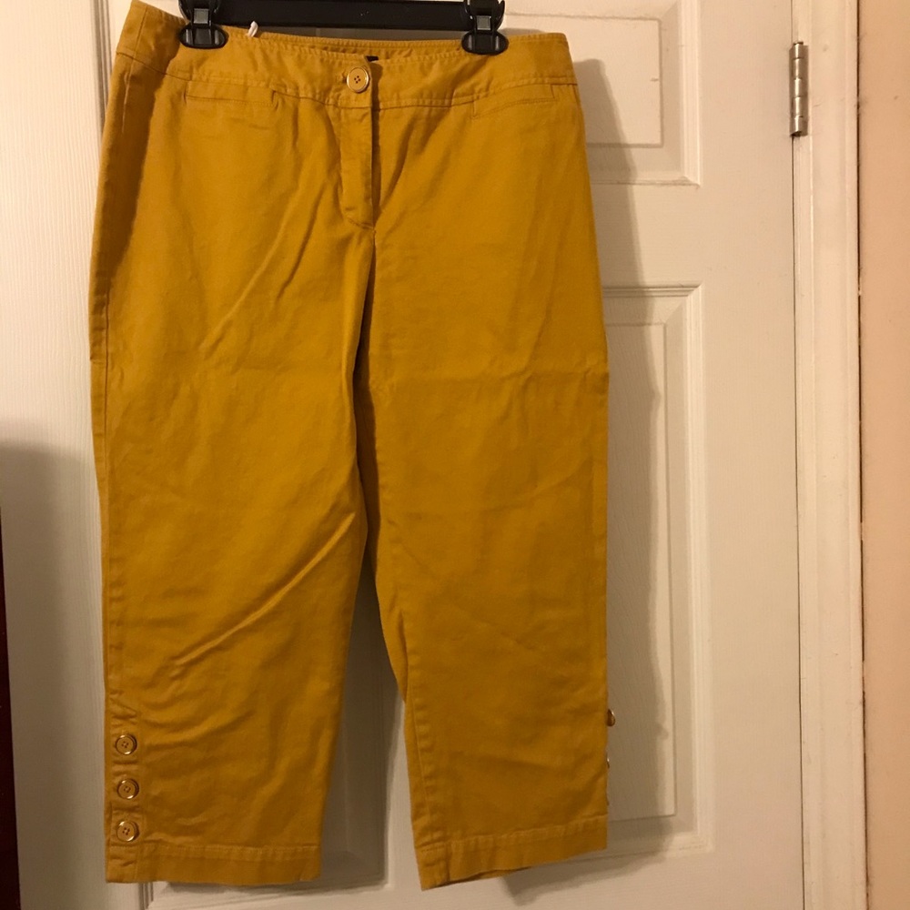 Jasper Capri pants